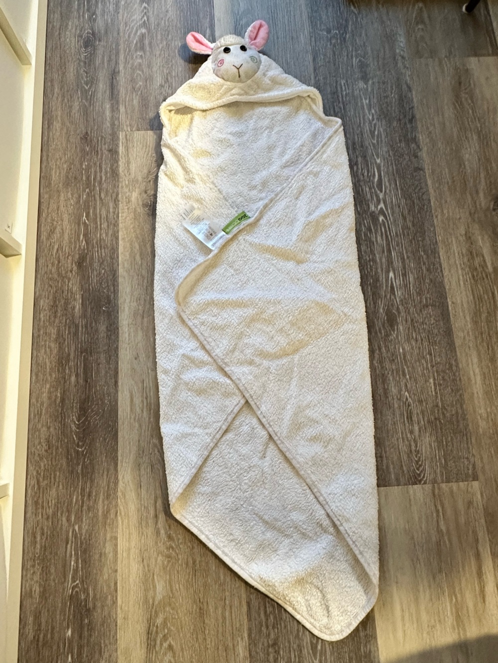 White Hooded Baby Towel